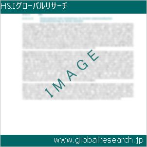 グローバルリサーチ調査レポートのイメージ